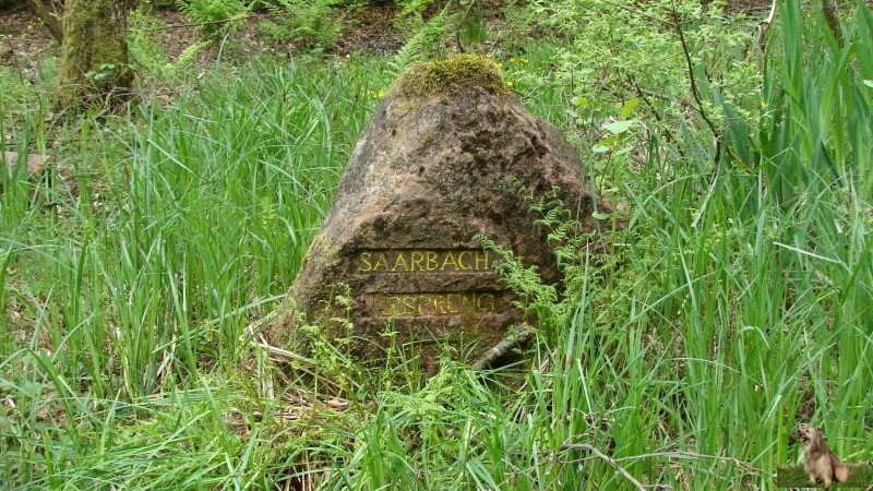 Ritterstein Nr. 198-2 Saarbach-Ursprung.JPG - Ritterstein Nr.198 Saarbach-Ursprung